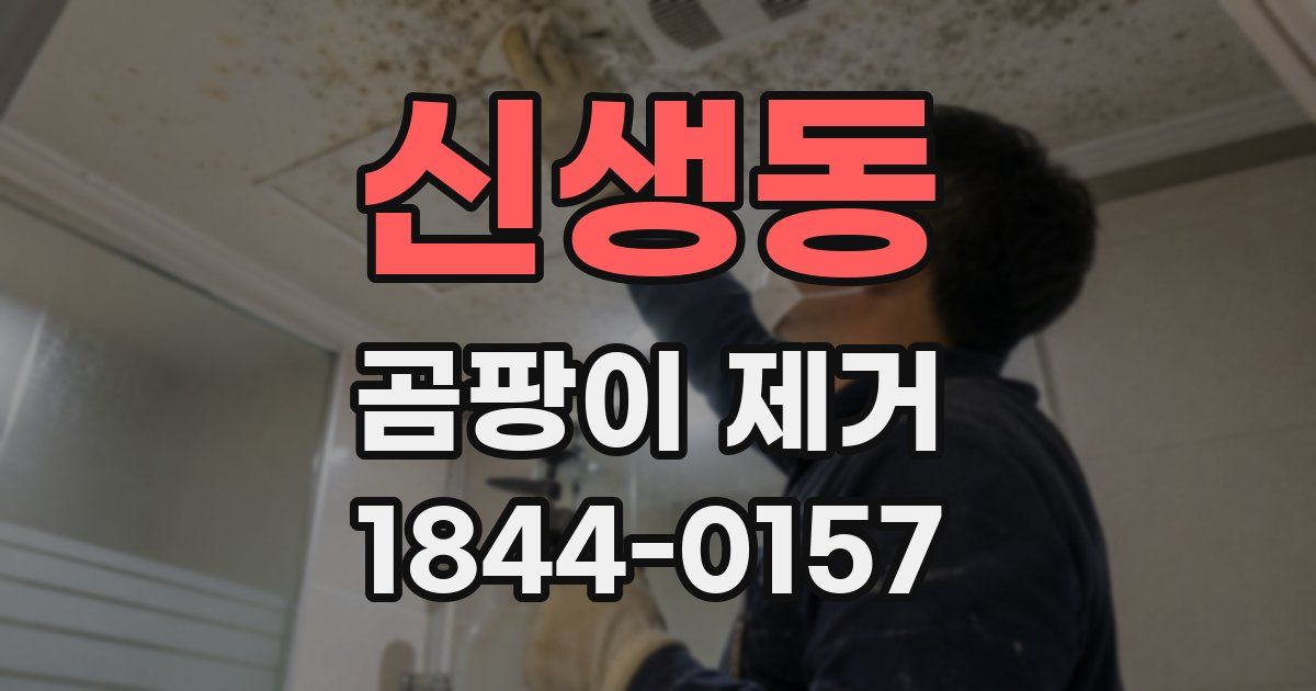 신생동 곰팡이 제거