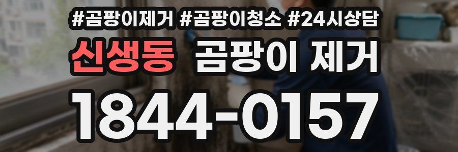 신생동 곰팡이 제거