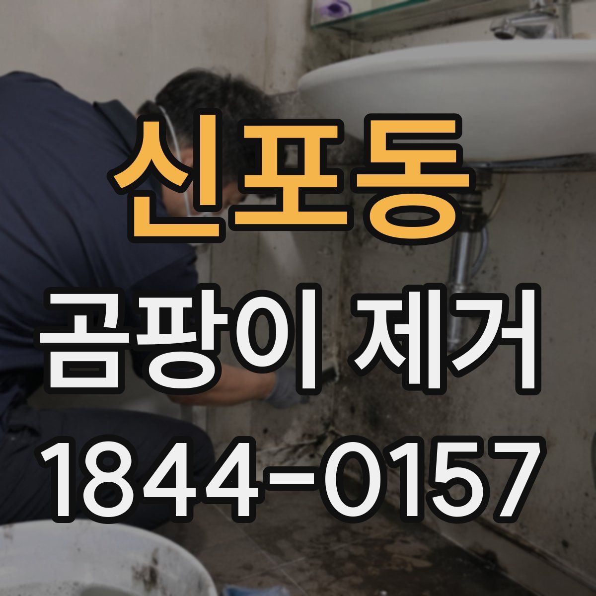 신포동 곰팡이 제거