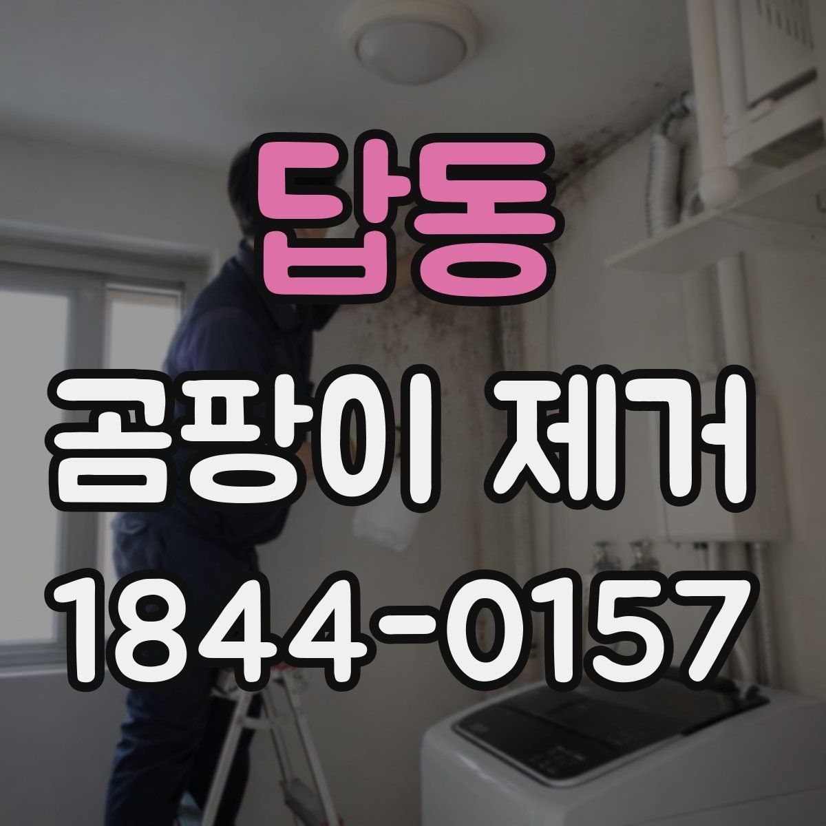 답동 곰팡이 제거 뒤 냄새를 줄이는 환기 타이밍