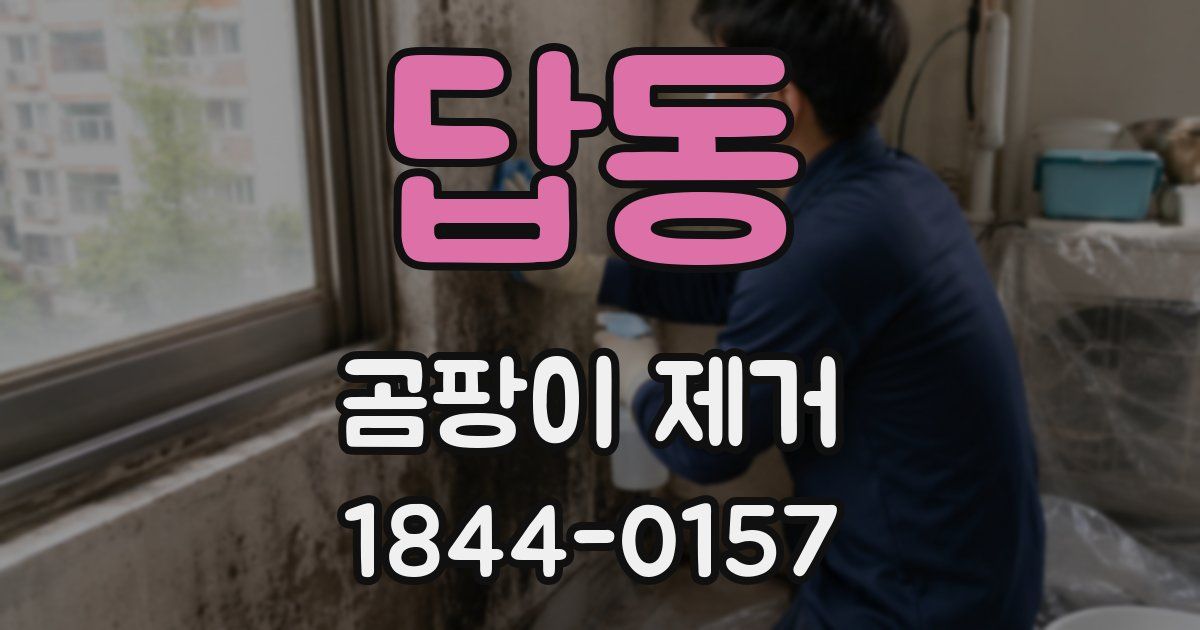 답동 곰팡이 제거