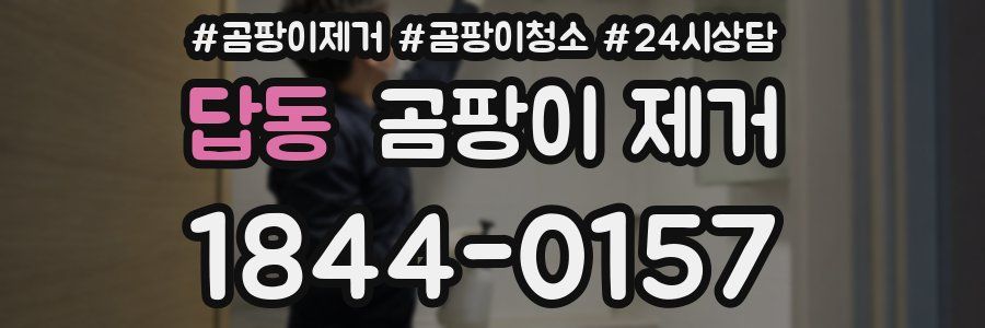 답동 곰팡이 제거