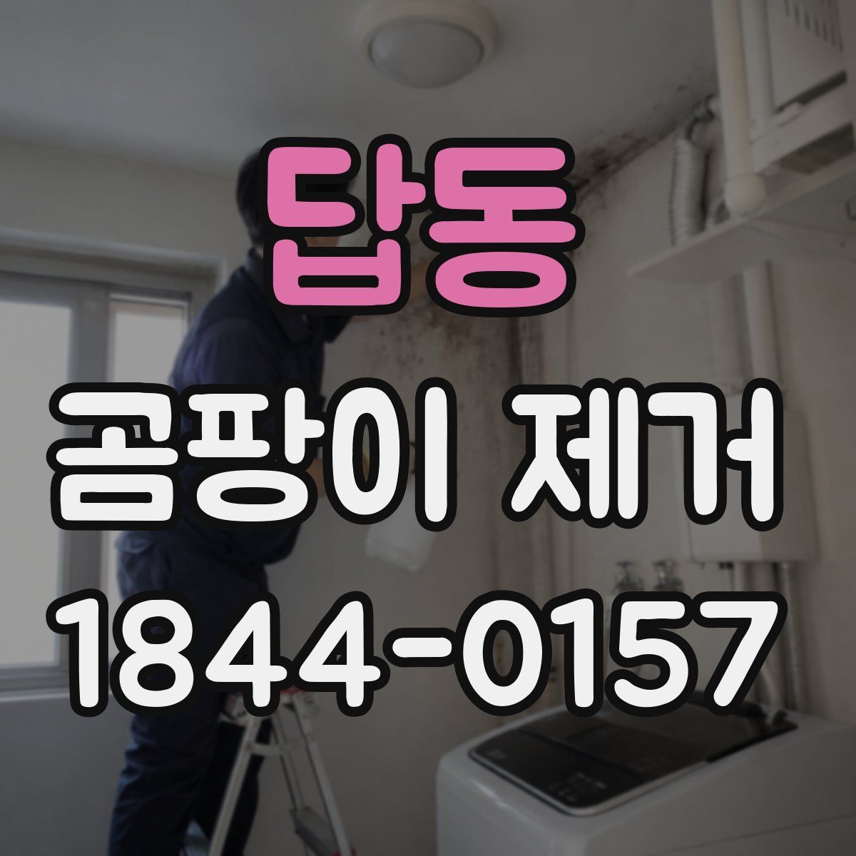 답동 곰팡이 제거