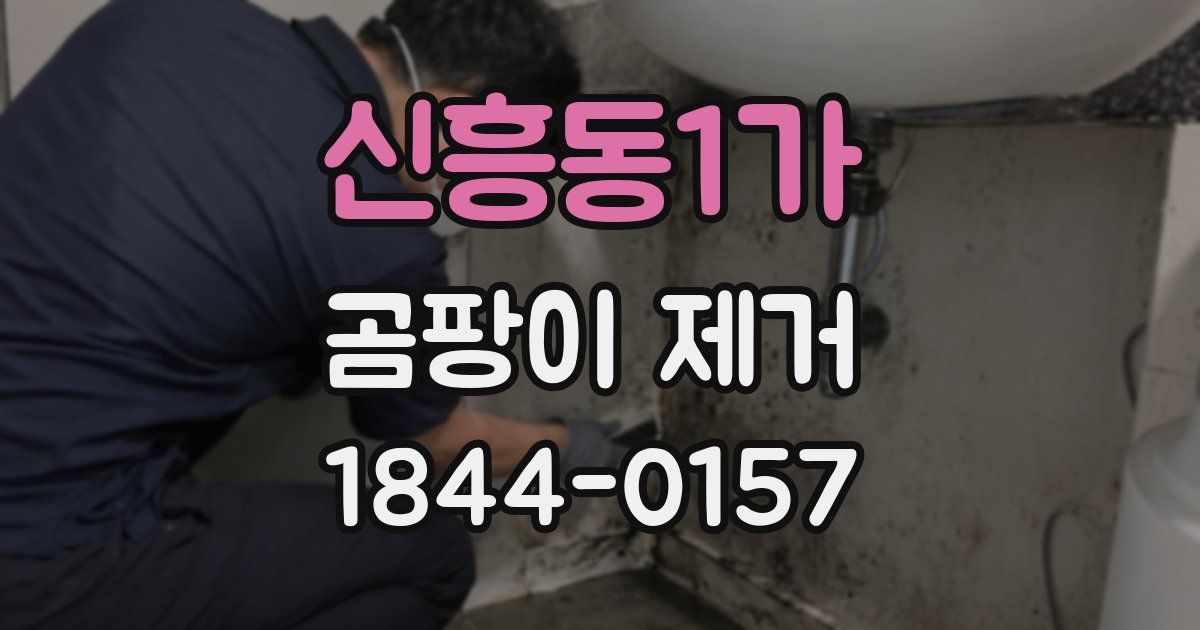 신흥동1가 곰팡이 제거
