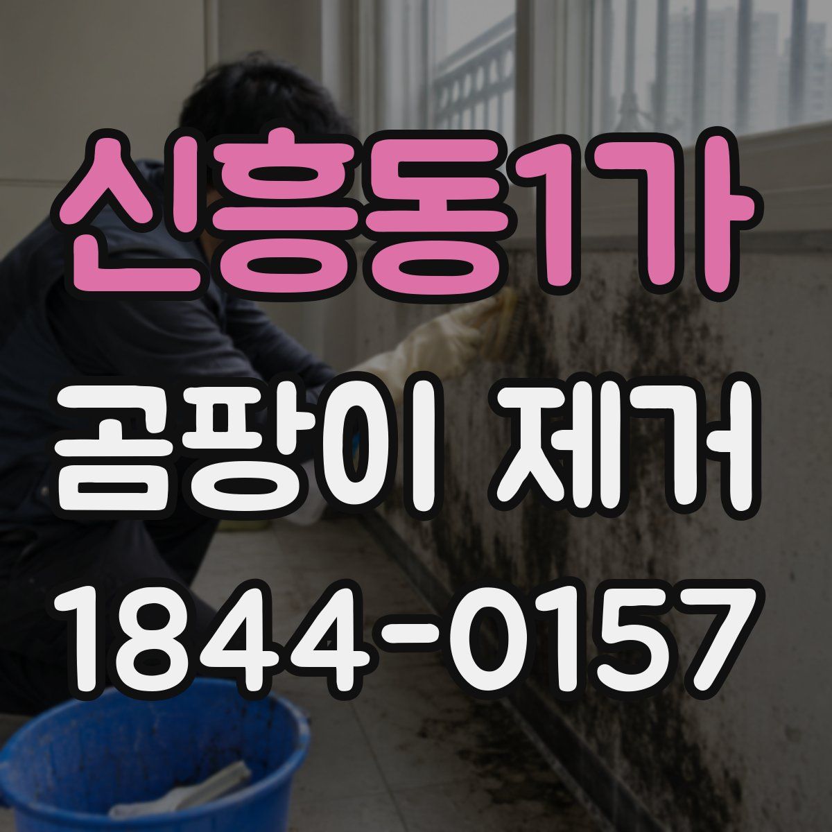 신흥동1가 곰팡이 제거