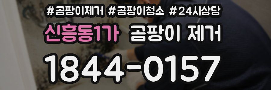 신흥동1가 곰팡이 제거