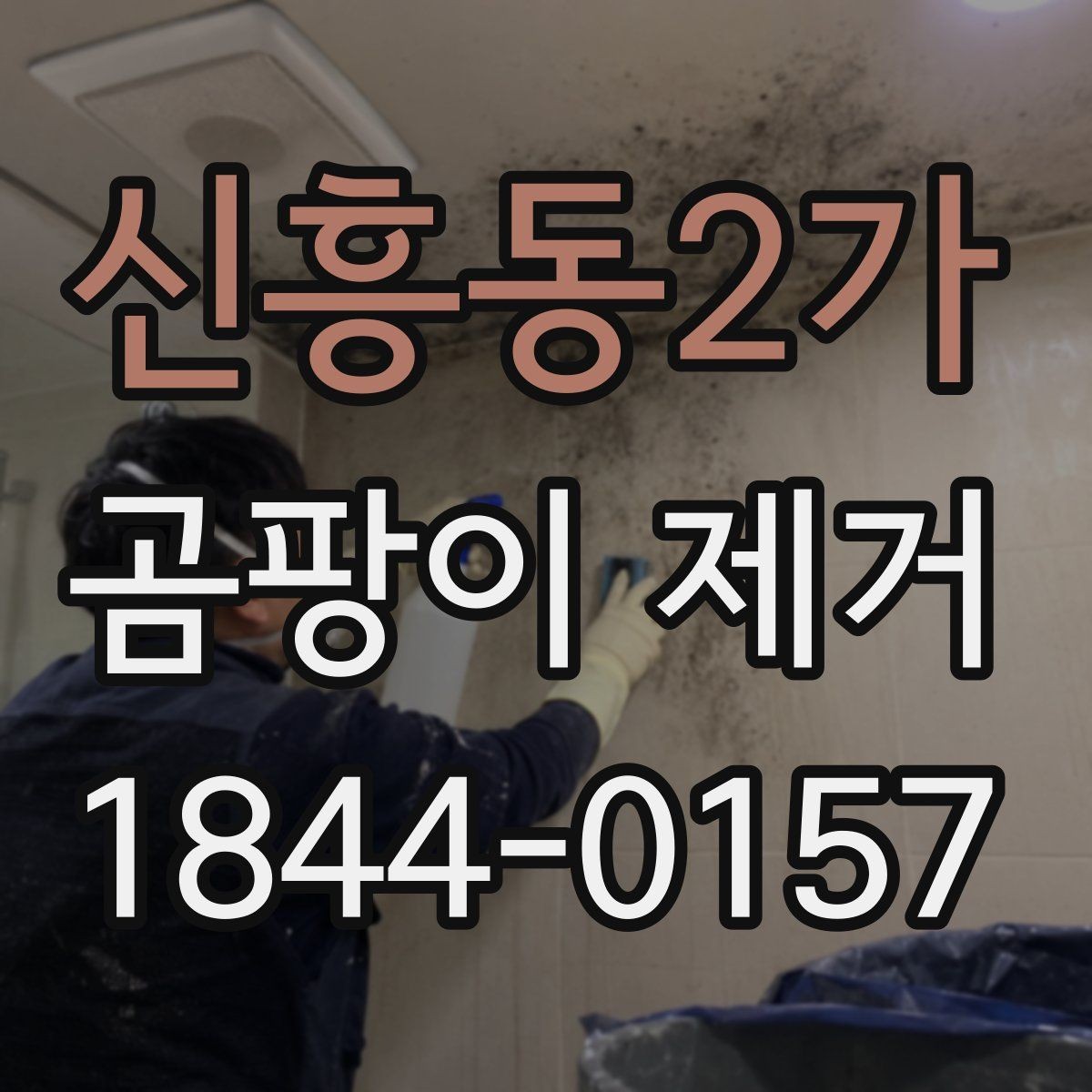 신흥동2가 곰팡이 제거 재발을 줄이려면 점검해야 할 생활 습관