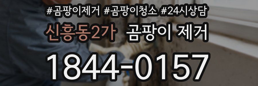 신흥동2가 곰팡이 제거