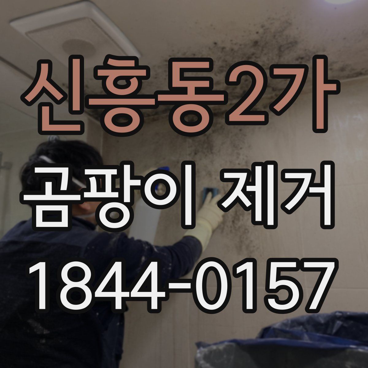 신흥동2가 곰팡이 제거