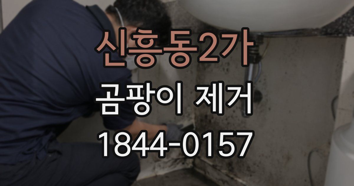 신흥동2가 곰팡이 제거