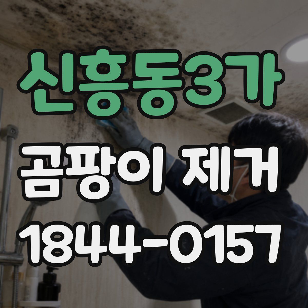 신흥동3가 곰팡이 제거