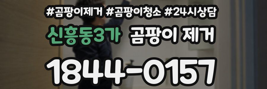 신흥동3가 곰팡이 제거
