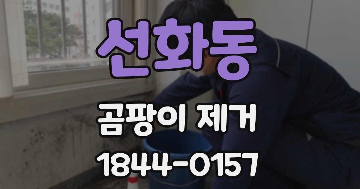 선화동 곰팡이 제거