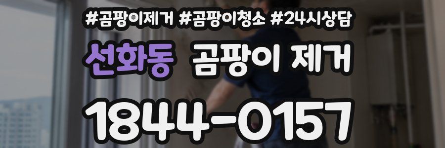 선화동 곰팡이 제거