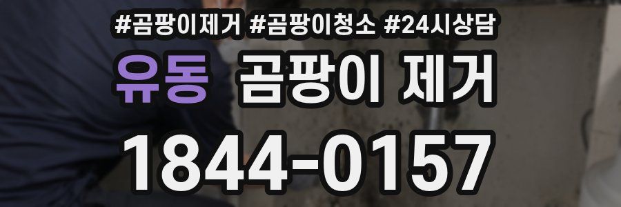 유동 곰팡이 제거