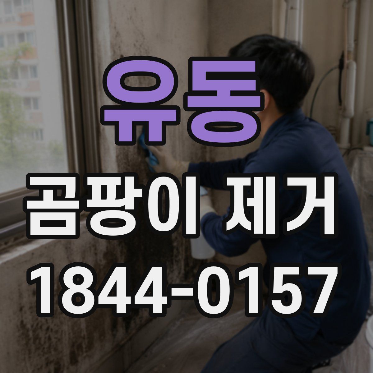 유동 곰팡이 제거