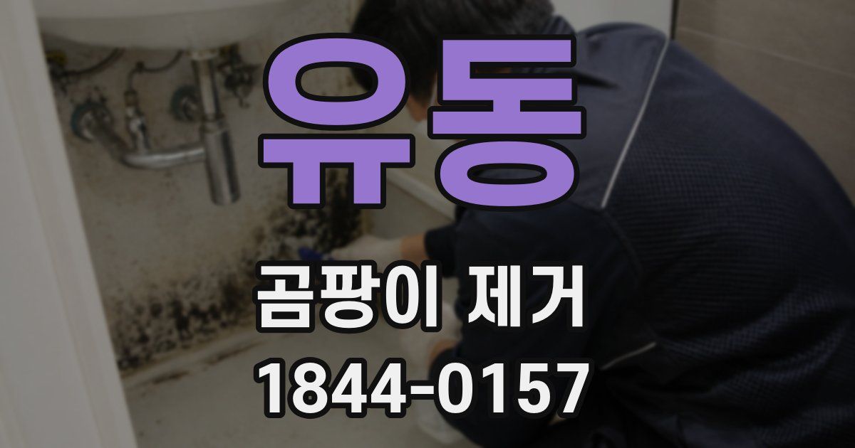 유동 곰팡이 제거