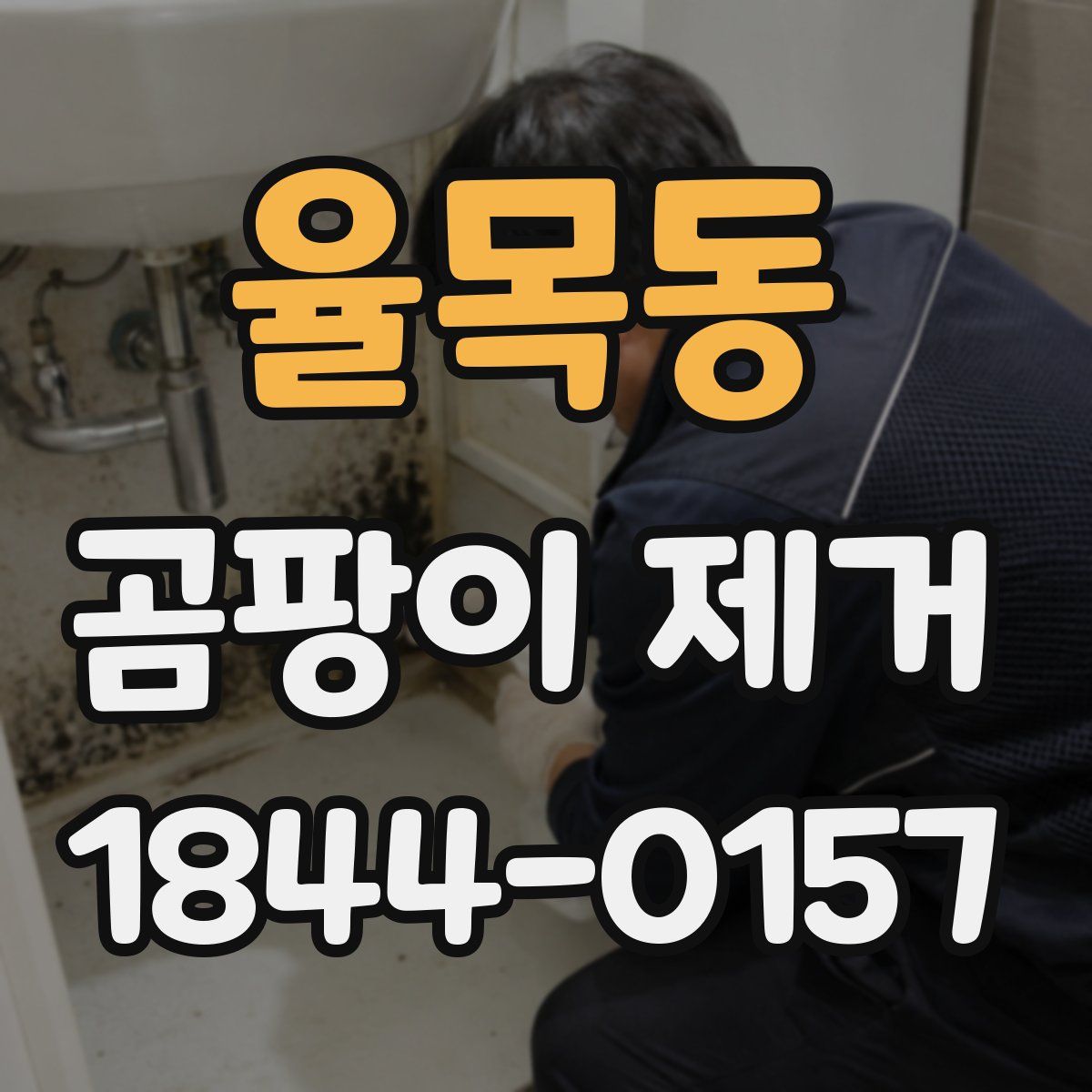 율목동 곰팡이 제거