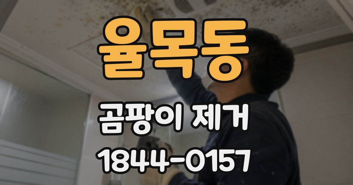 율목동 곰팡이 제거