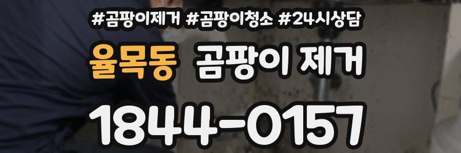 율목동 곰팡이 제거