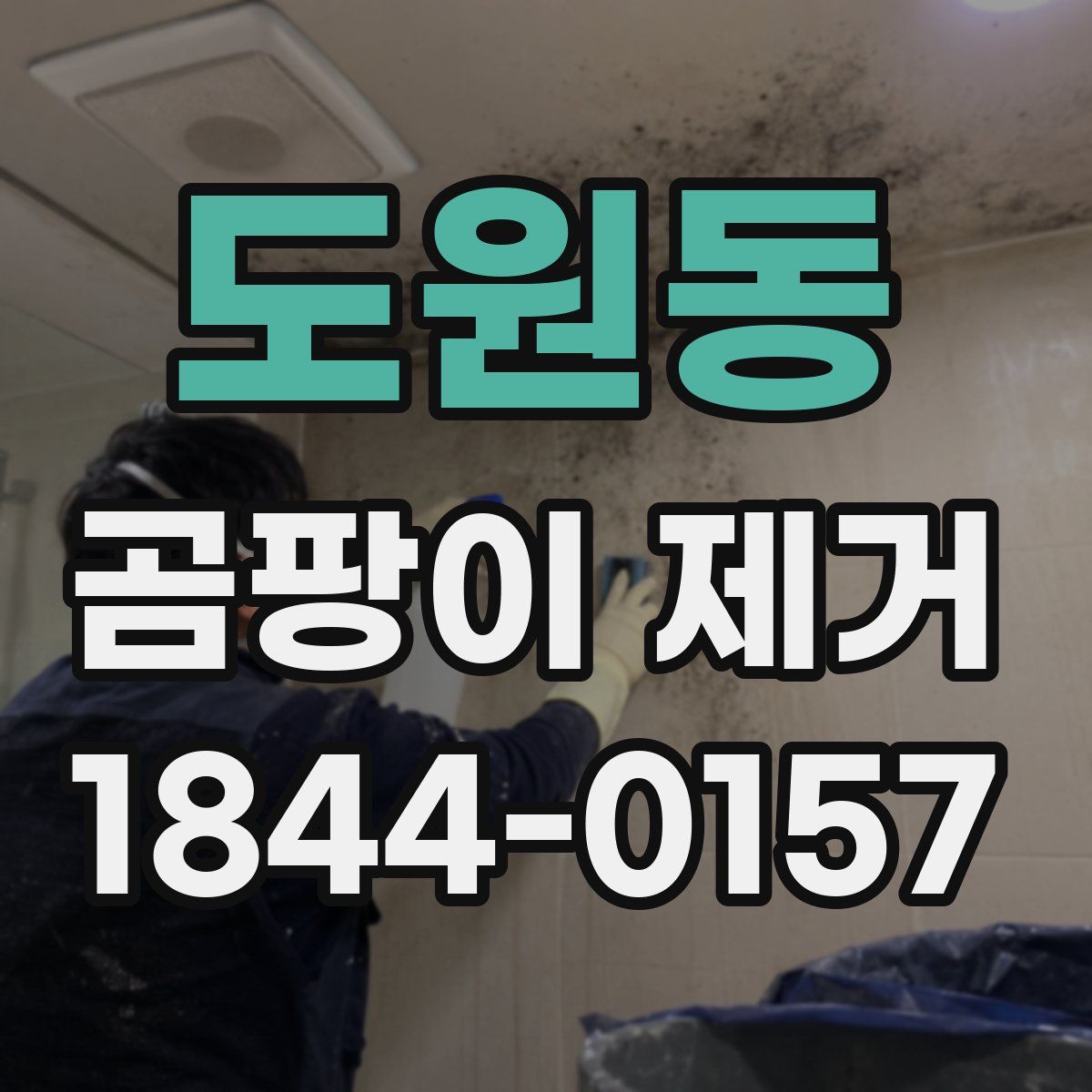 도원동 곰팡이 제거