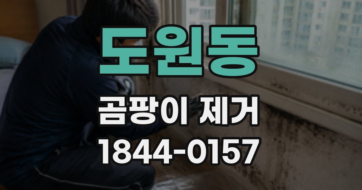 도원동 곰팡이 제거