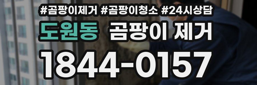 도원동 곰팡이 제거