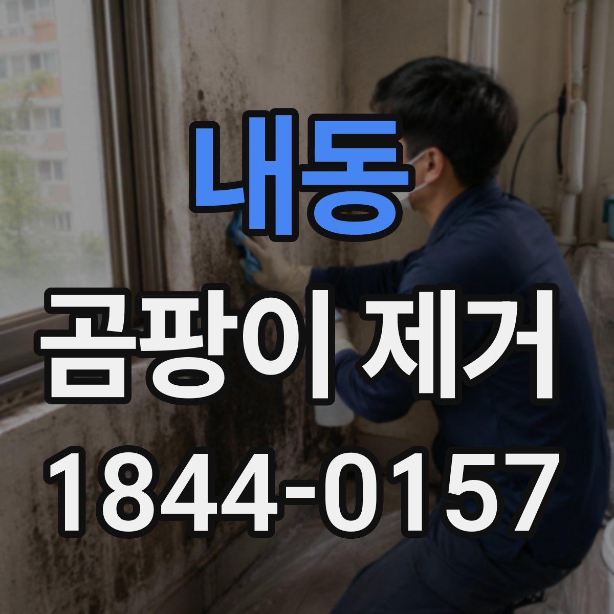 내동 곰팡이 제거