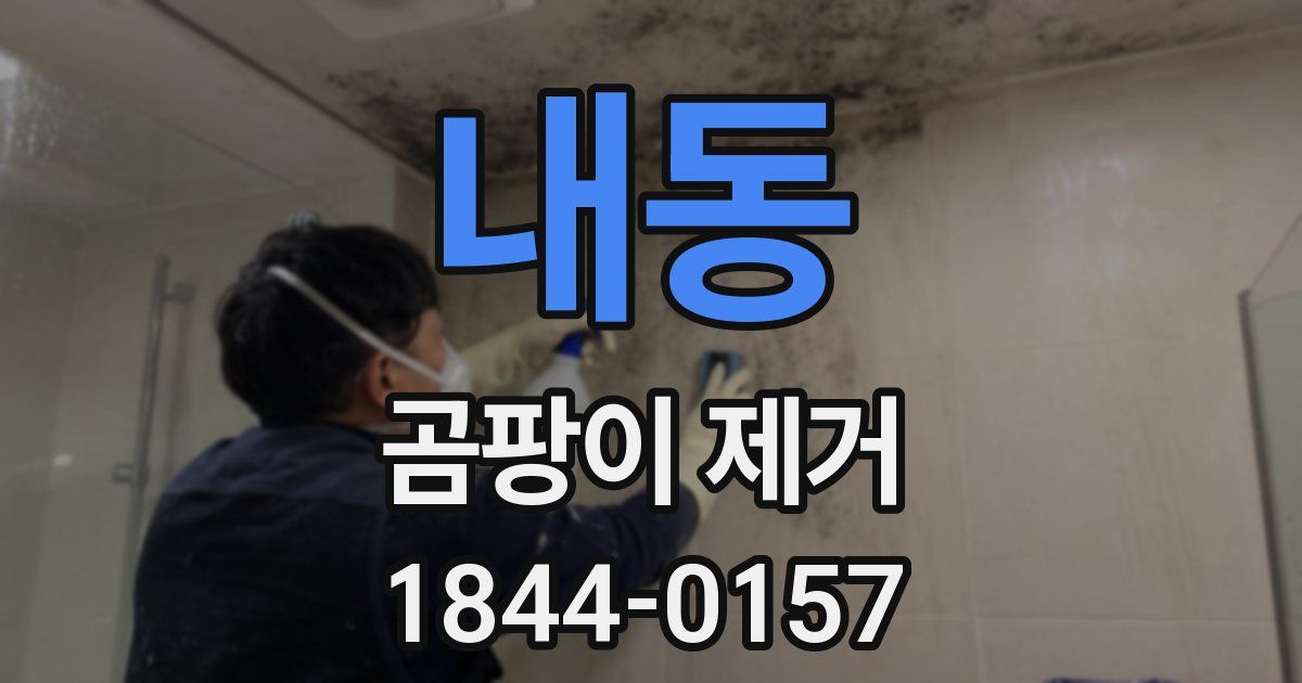 내동 곰팡이 제거