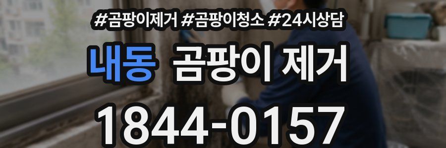 내동 곰팡이 제거