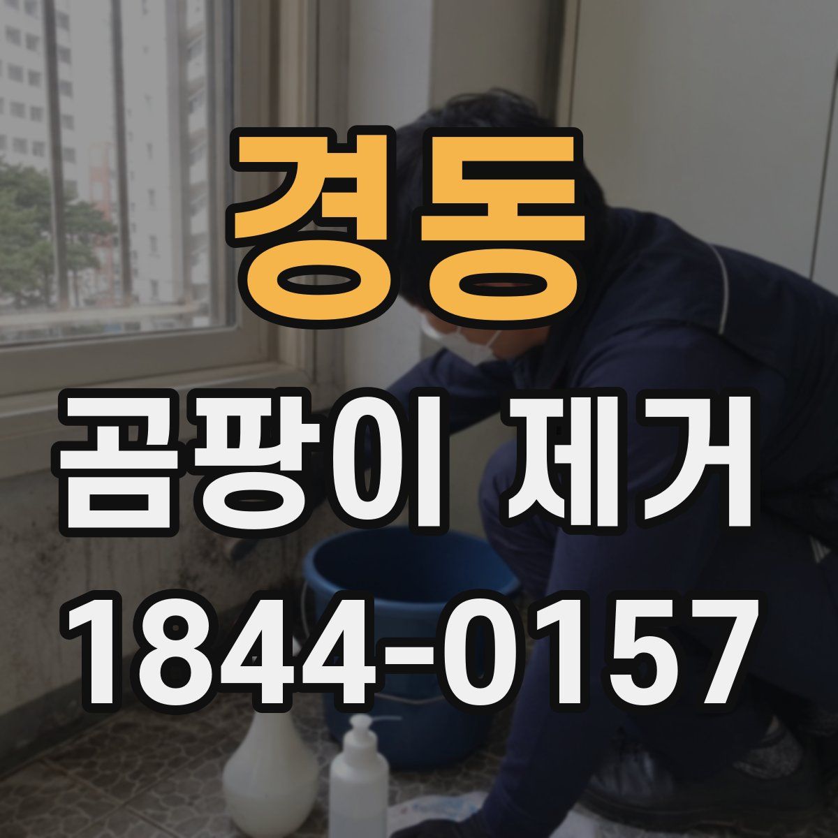 경동 곰팡이 제거