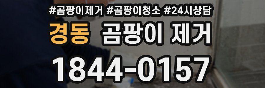 경동 곰팡이 제거