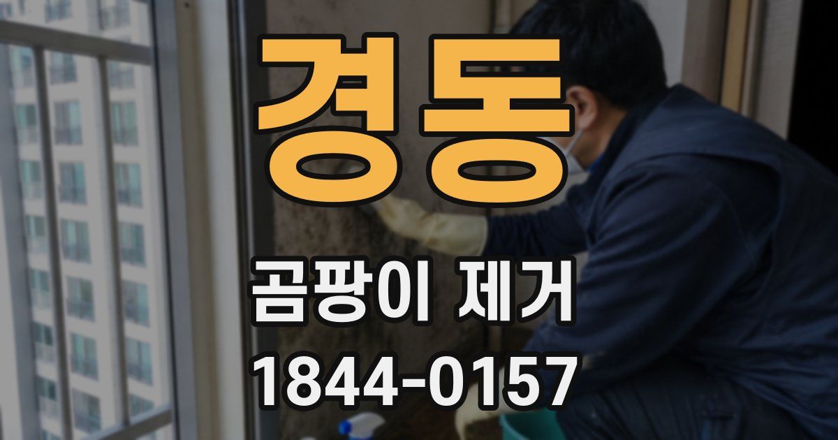 경동 곰팡이 제거