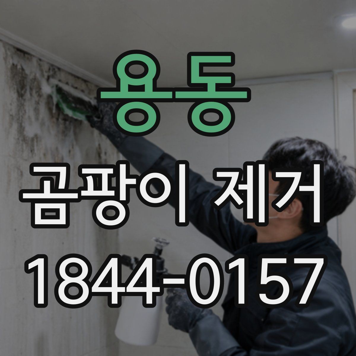 용동 곰팡이 제거 천장과 코너부에 남는 흔적 확인