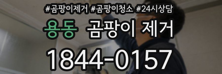 용동 곰팡이 제거