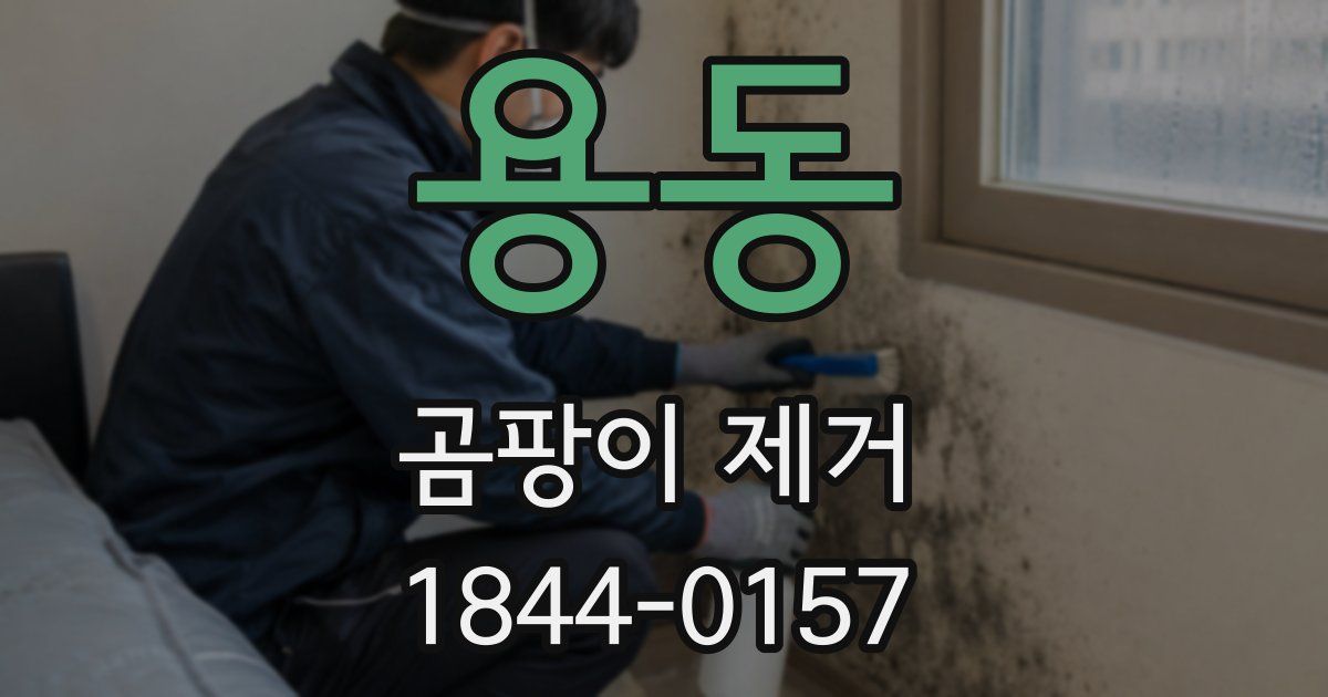 용동 곰팡이 제거