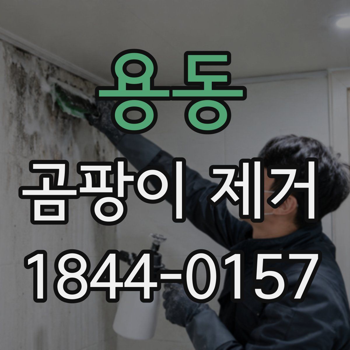 용동 곰팡이 제거