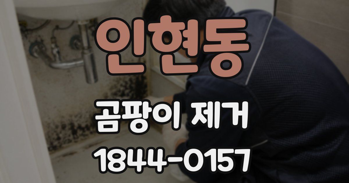 인현동 곰팡이 제거