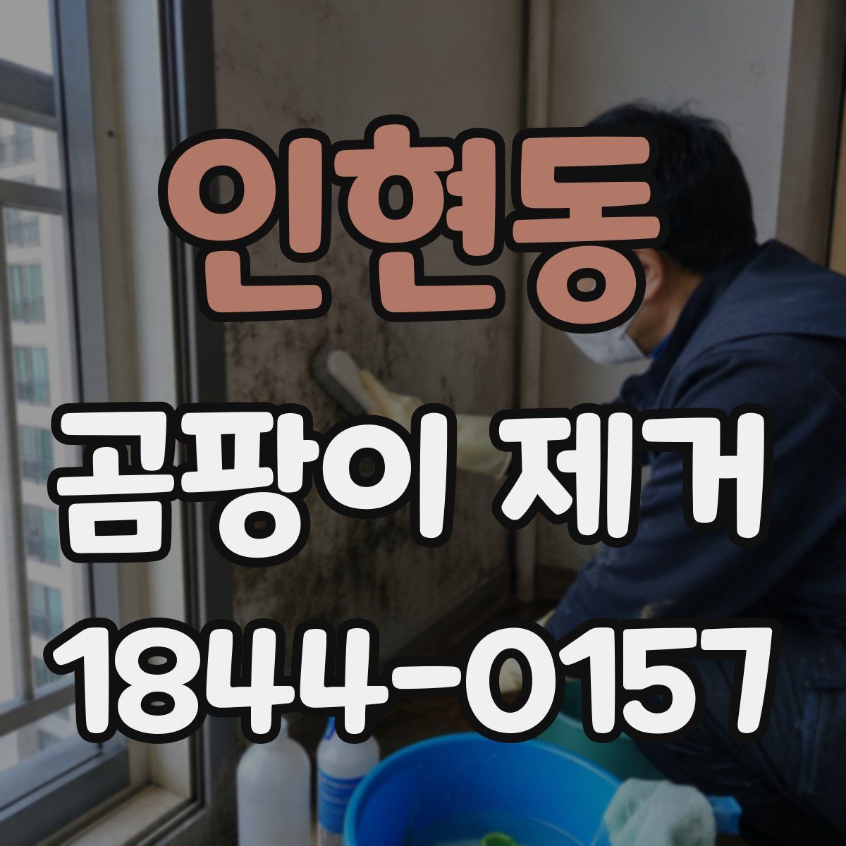 인현동 곰팡이 제거