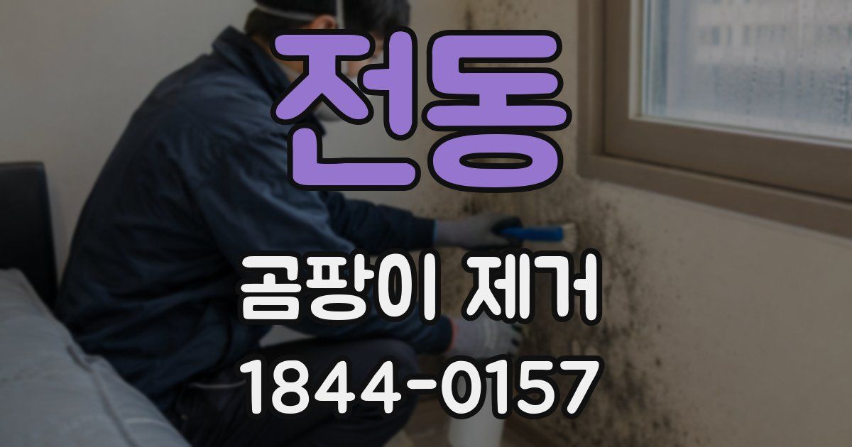 전동 곰팡이 제거