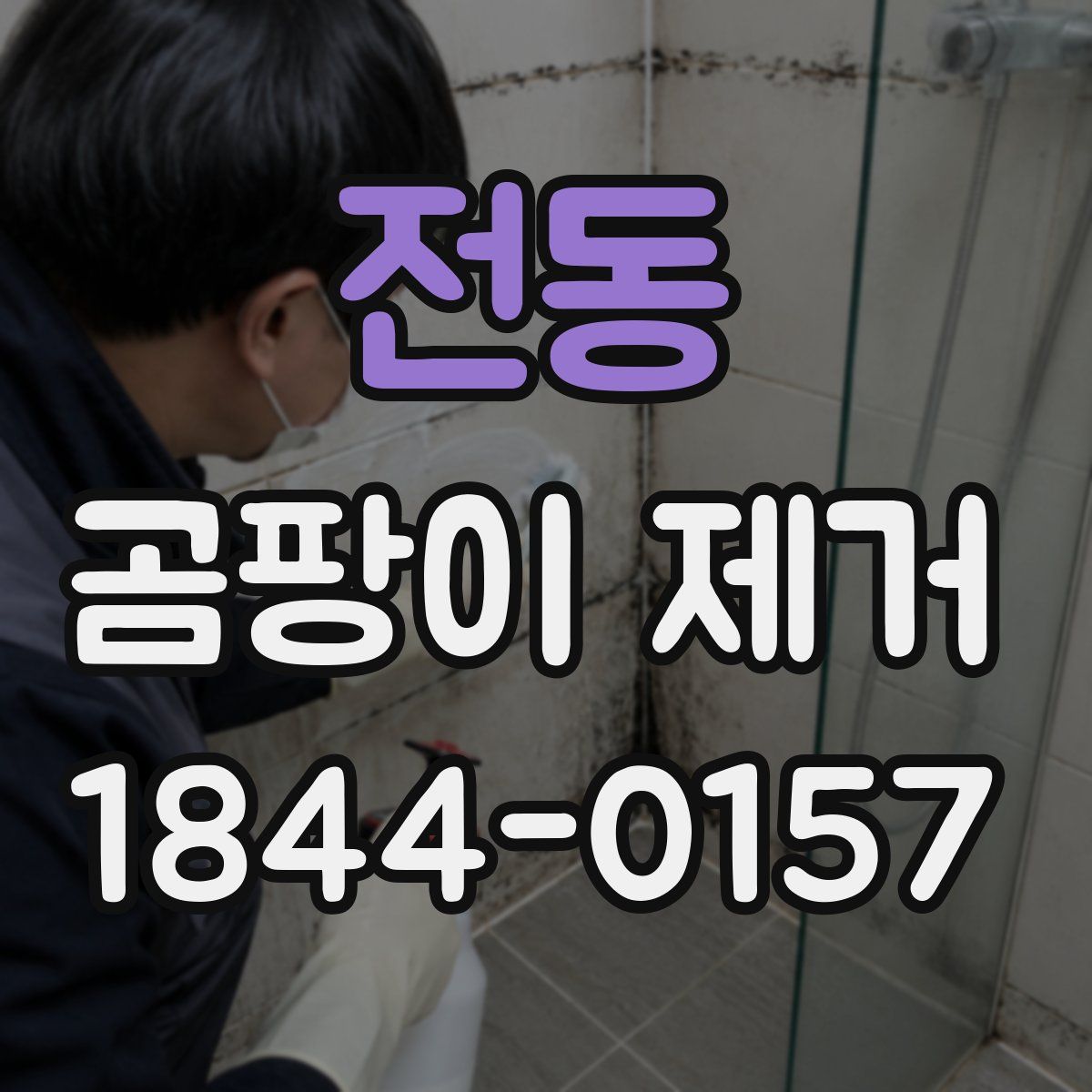 전동 곰팡이 제거
