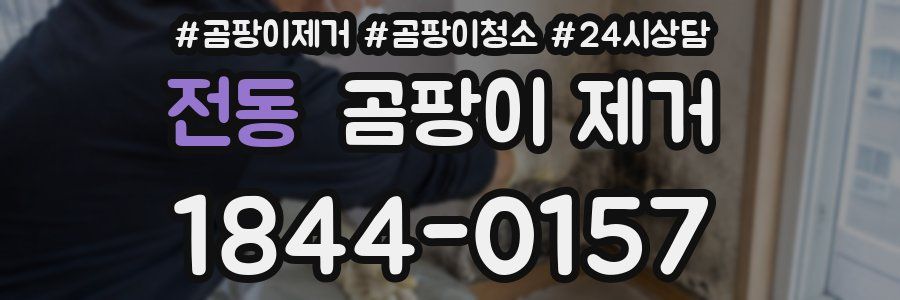 전동 곰팡이 제거