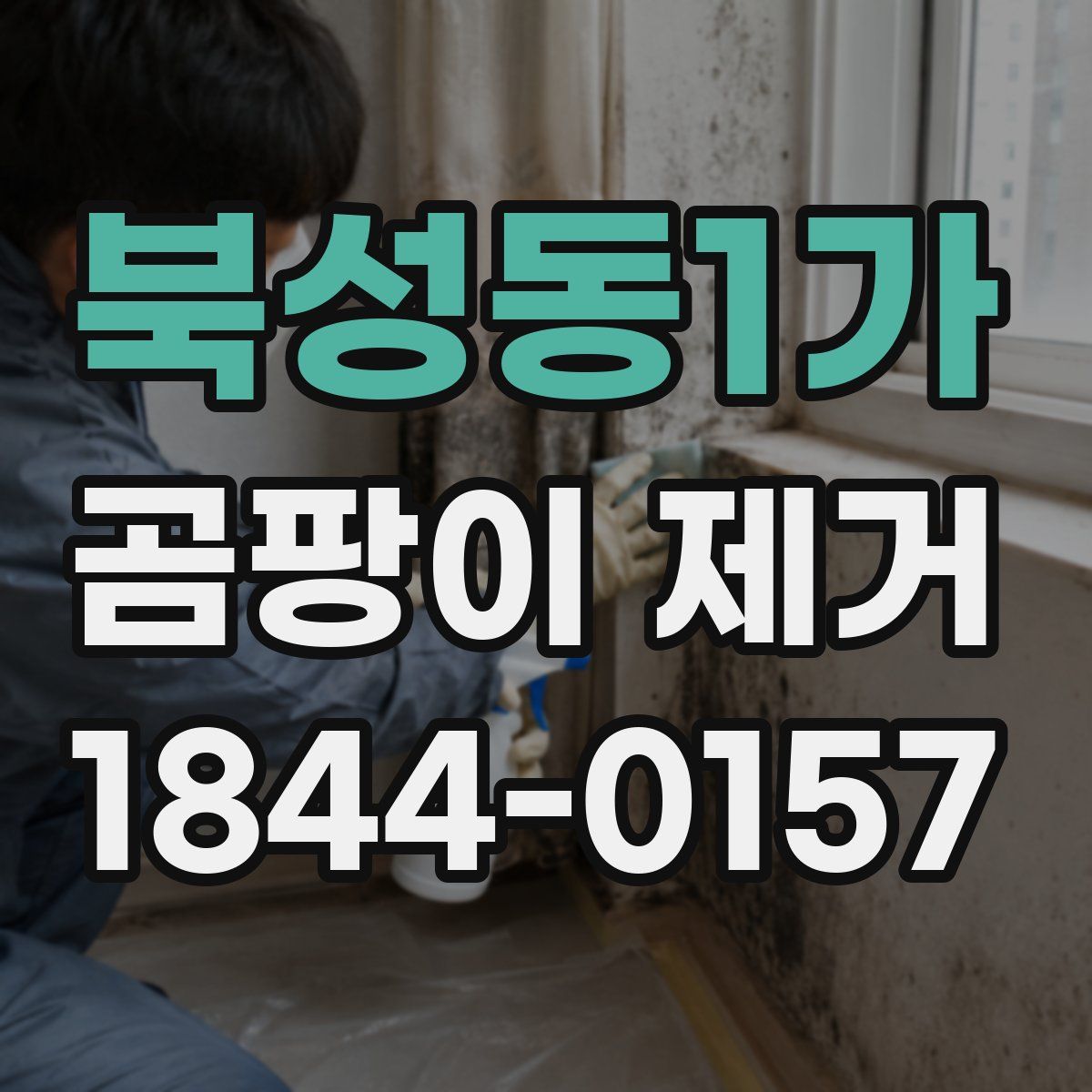북성동1가 곰팡이 제거