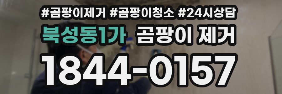 북성동1가 곰팡이 제거