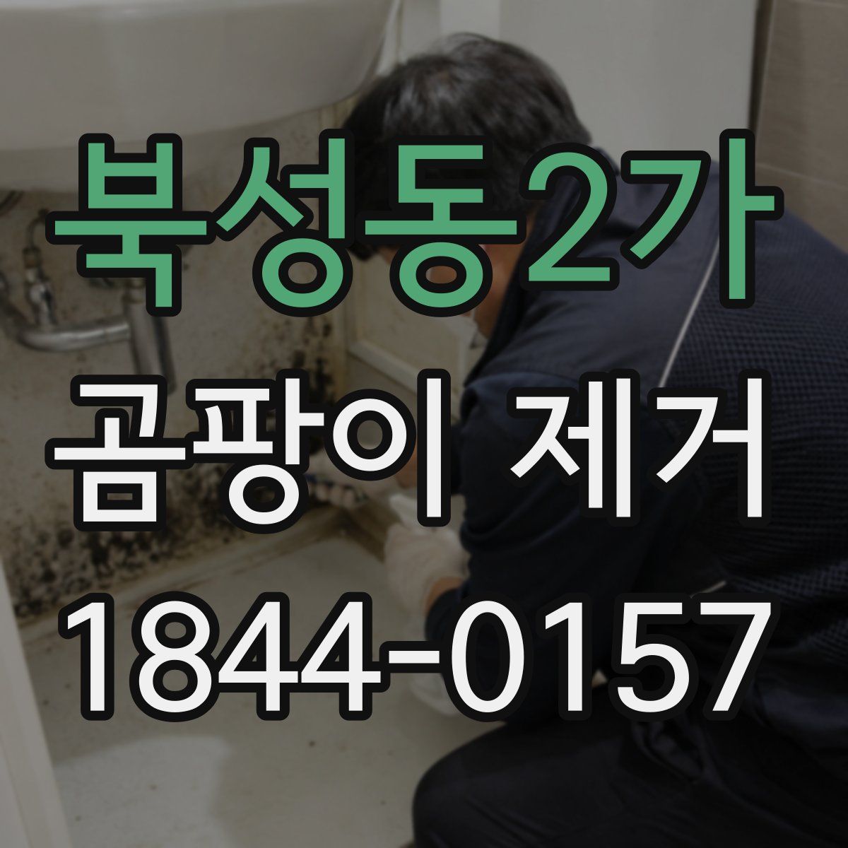 북성동2가 곰팡이 제거