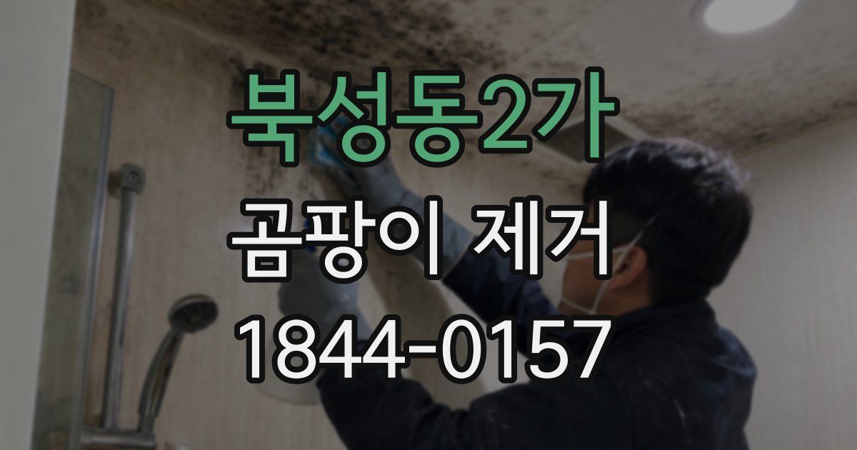 북성동2가 곰팡이 제거