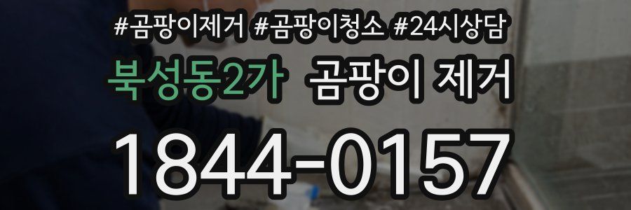 북성동2가 곰팡이 제거