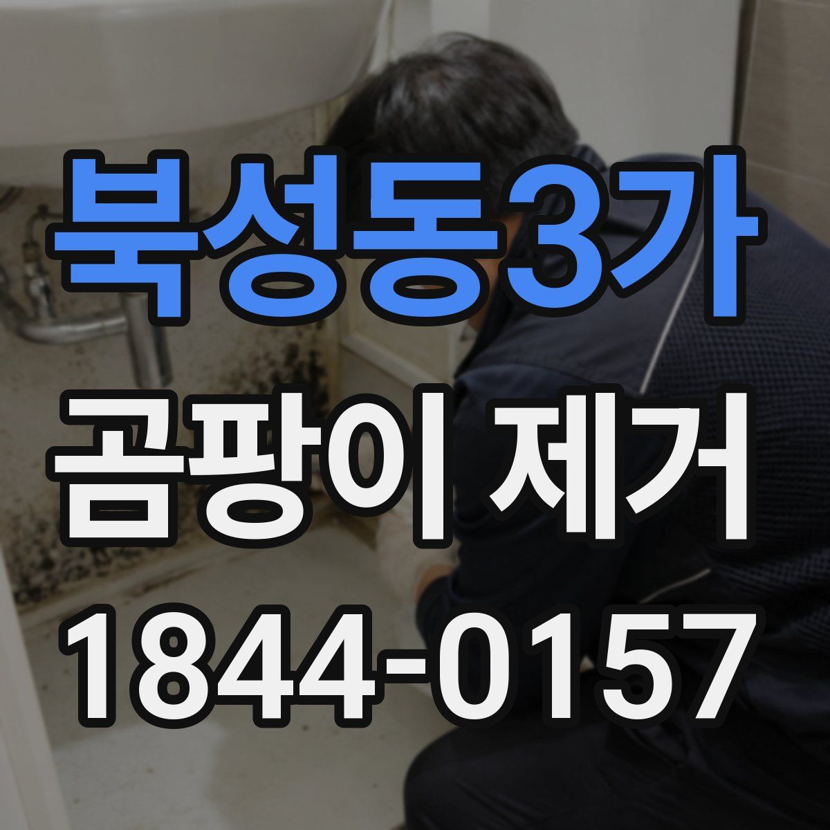 북성동3가 곰팡이 제거