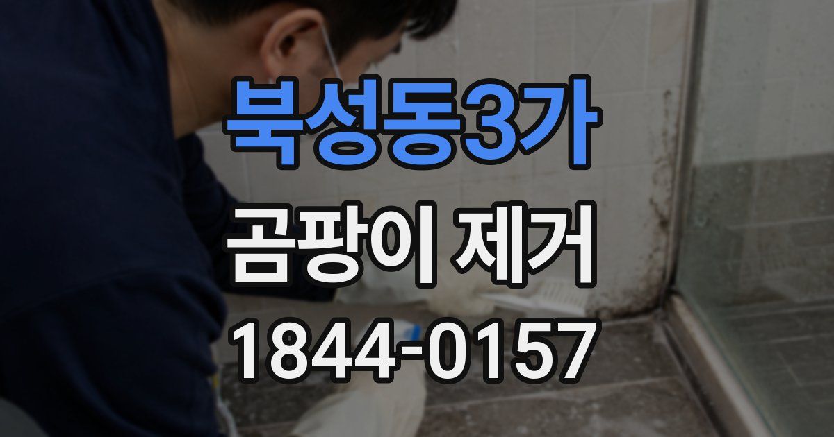 북성동3가 곰팡이 제거
