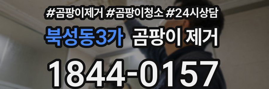 북성동3가 곰팡이 제거